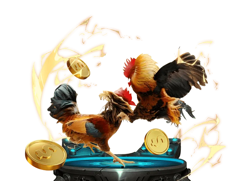 Hình ảnh giới thiệu đá gà trực tuyến b52win casino